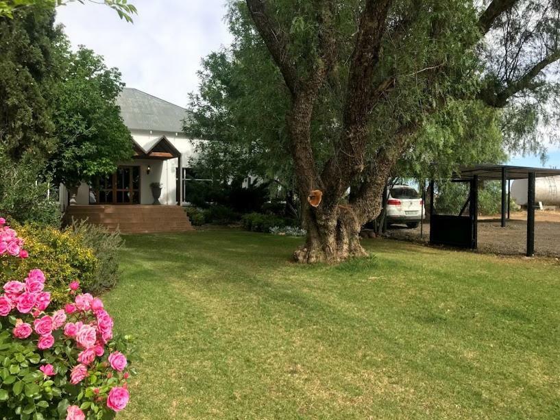 En Route Guest House Trompsburg Exterior foto